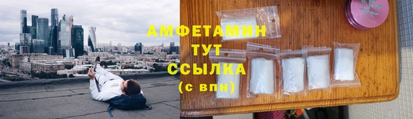 СК Алексин