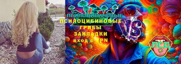 СК Алексин