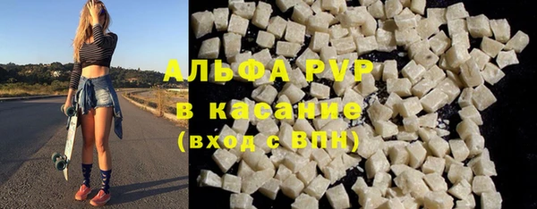 СК Алексин