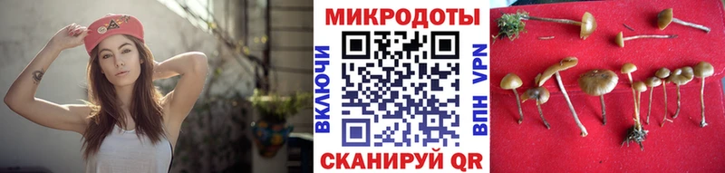 Псилоцибиновые грибы ЛСД  Омутнинск 